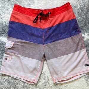 Men's Multicolor Swim Shorts